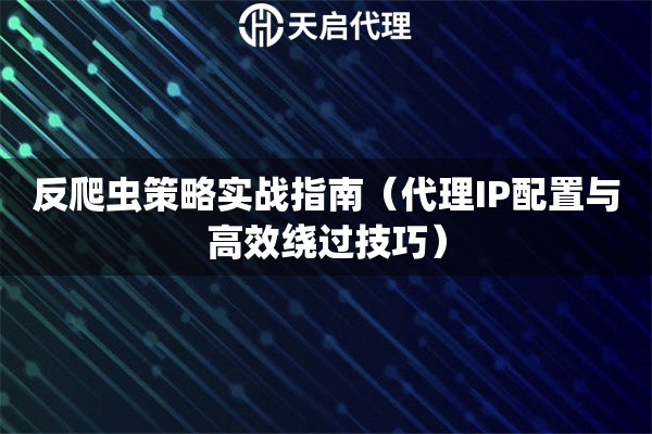 反爬虫策略实战指南（代理IP配置与高效绕过技巧）