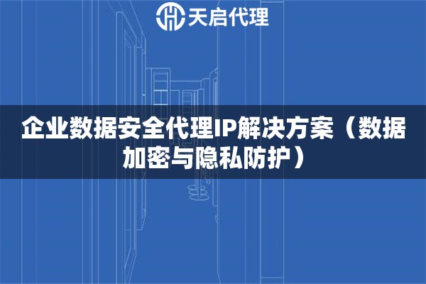 企业数据安全代理IP解决方案（数据加密与隐私防护）