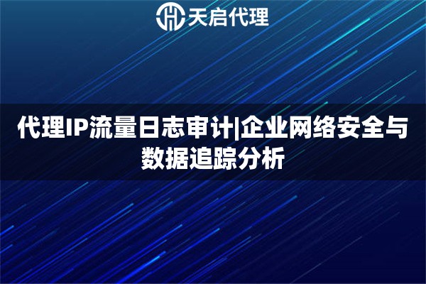 代理IP流量日志审计|企业网络安全与数据追踪分析