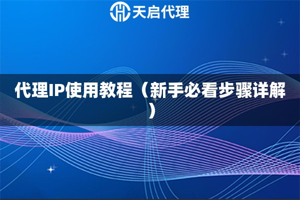 代理IP使用教程（新手必看步骤详解）