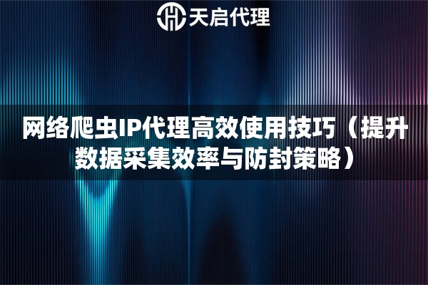 网络爬虫IP代理高效使用技巧（提升数据采集效率与防封策略）