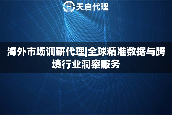海外市场调研代理|全球精准数据与跨境行业洞察服务