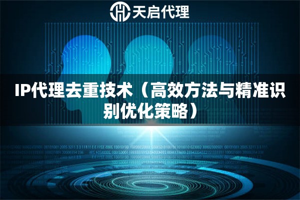IP代理去重技术（高效方法与精准识别优化策略）
