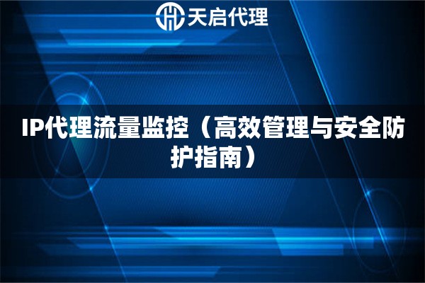 IP代理流量监控（高效管理与安全防护指南）