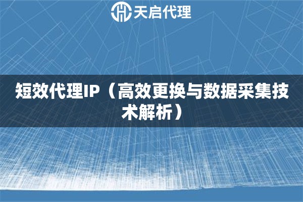 短效代理IP（高效更换与数据采集技术解析）
