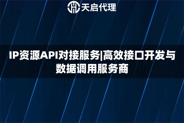 IP资源API对接服务|高效接口开发与数据调用服务商