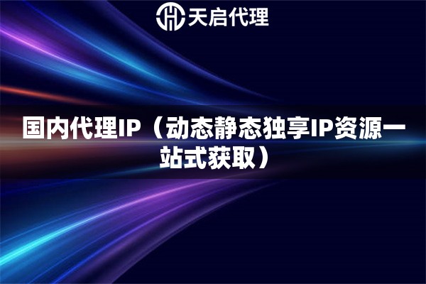 国内代理IP（动态静态独享IP资源一站式获取）