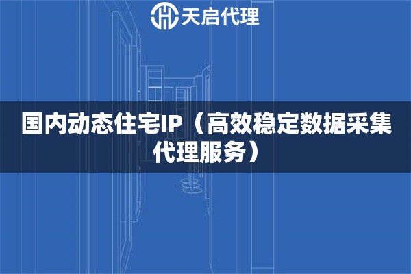 国内动态住宅IP（高效稳定数据采集代理服务）
