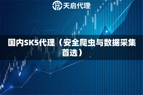 国内SK5代理（安全爬虫与数据采集首选）
