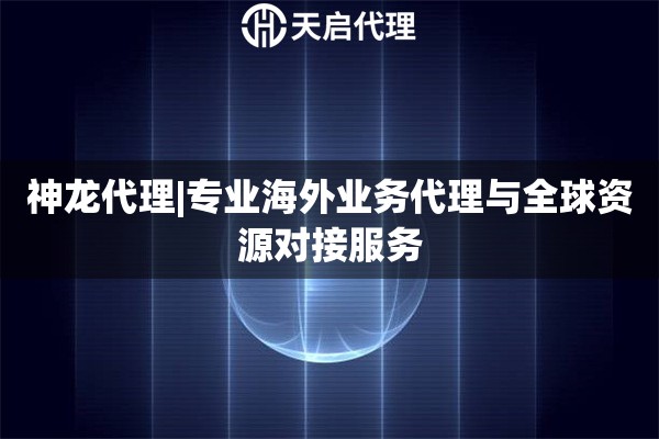 神龙代理|专业海外业务代理与全球资源对接服务