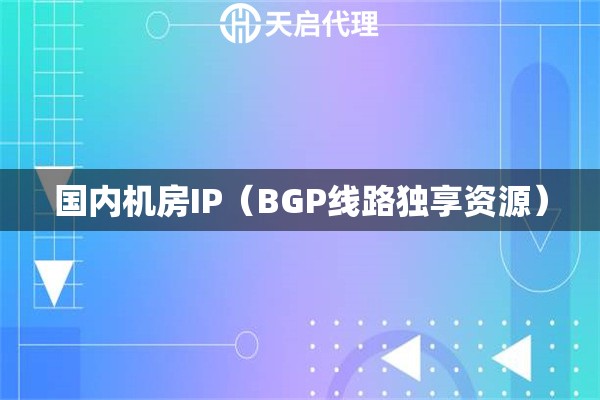 国内机房IP（BGP线路独享资源）