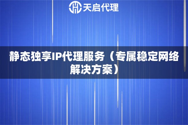 静态独享IP代理服务（专属稳定网络解决方案）