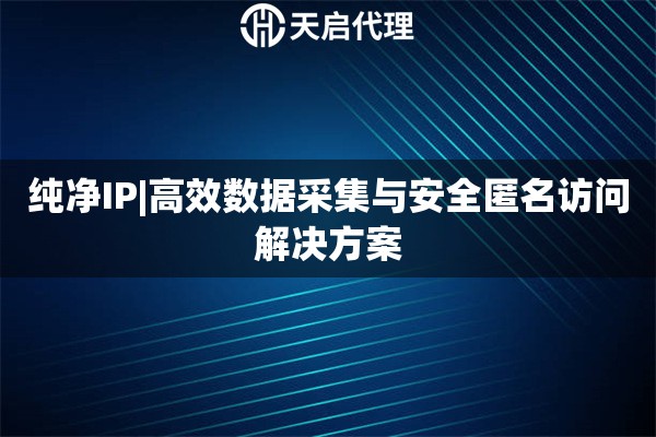 纯净IP|高效数据采集与安全匿名访问解决方案
