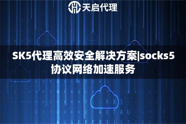 SK5代理高效安全解决方案|socks5协议网络加速服务