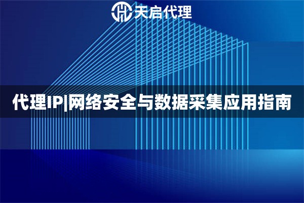 代理IP|网络安全与数据采集应用指南