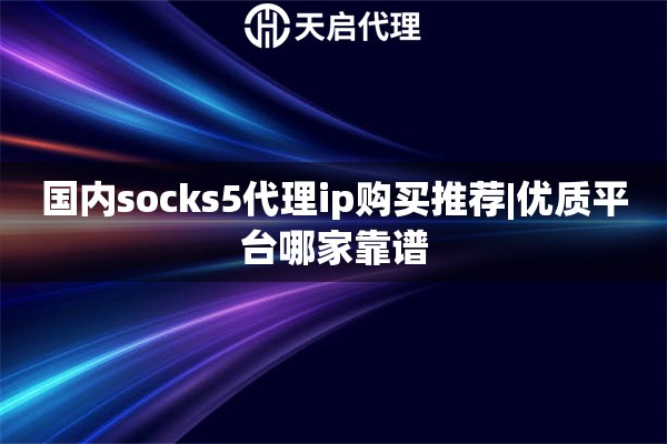 国内socks5代理ip购买推荐|优质平台哪家靠谱