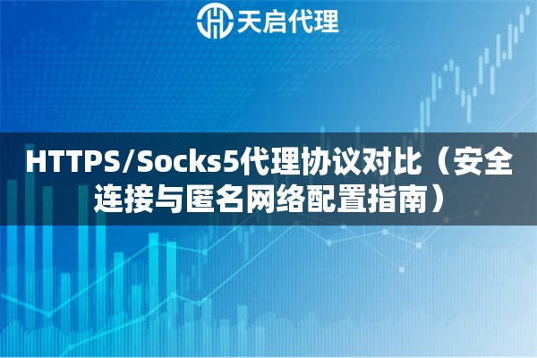 HTTPS/Socks5代理协议对比（安全连接与匿名网络配置指南）