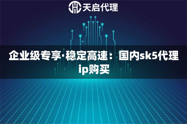 企业级专享·稳定高速：国内sk5代理ip购买
