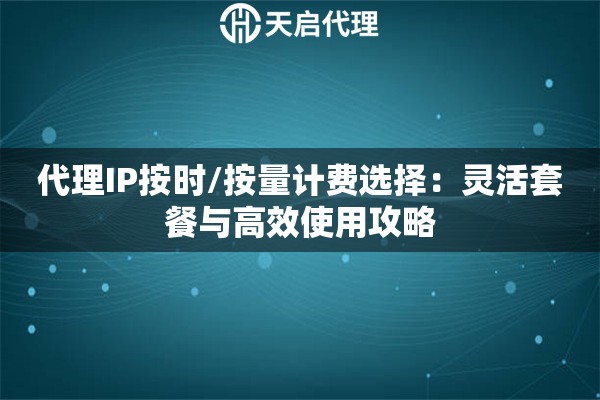 代理IP按时/按量计费选择：灵活套餐与高效使用攻略