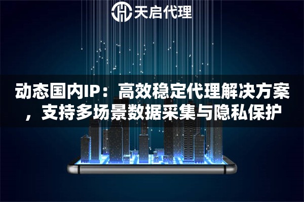 动态国内IP：高效稳定代理解决方案，支持多场景数据采集与隐私保护