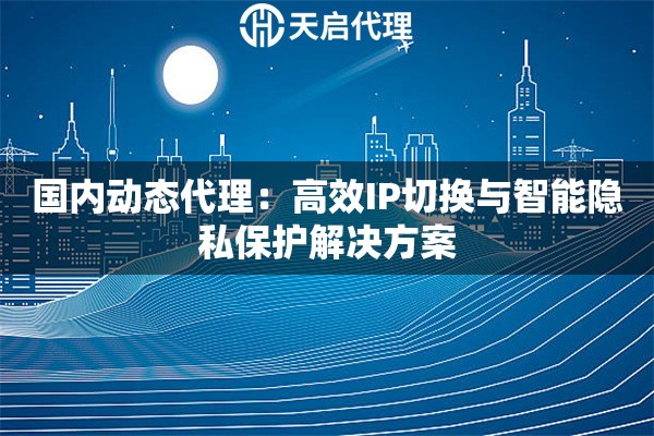 国内动态代理：高效IP切换与智能隐私保护解决方案