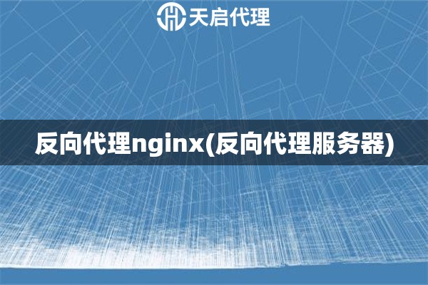 反向代理nginx(反向代理服务器)