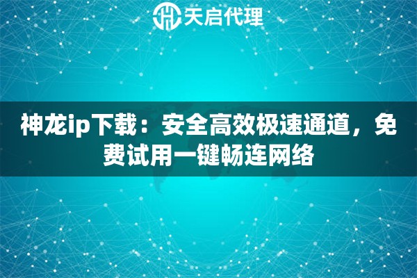 神龙ip下载：安全高效极速通道，免费试用一键畅连网络