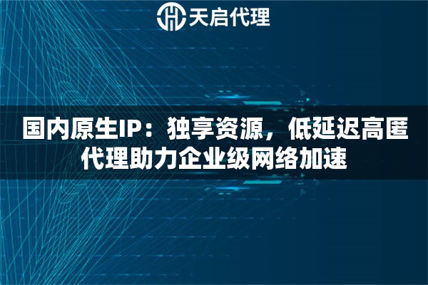国内原生IP：独享资源，低延迟高匿代理助力企业级网络加速