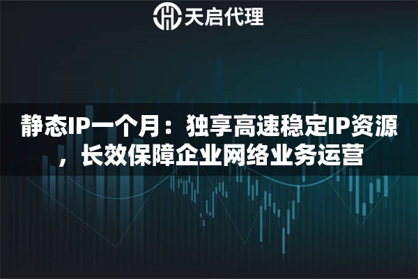 静态IP一个月：独享高速稳定IP资源，长效保障企业网络业务运营