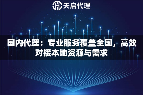 国内代理：专业服务覆盖全国，高效对接本地资源与需求