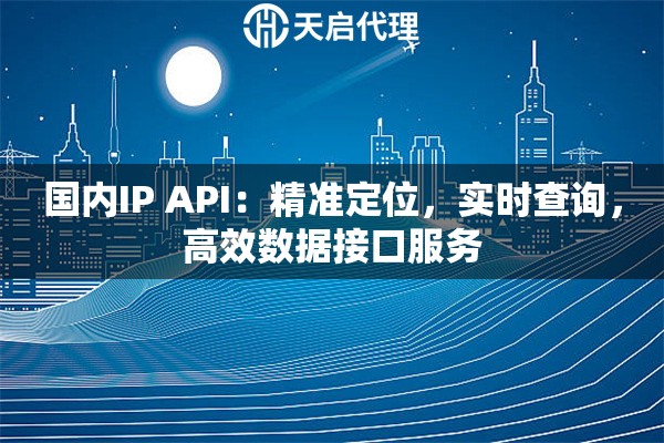 国内IP API：精准定位，实时查询，高效数据接口服务
