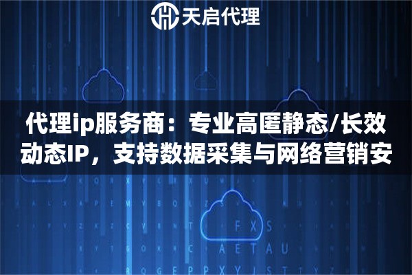 代理ip服务商：专业高匿静态/长效动态IP，支持数据采集与网络营销安全防护