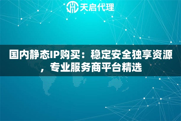 国内静态IP购买：稳定安全独享资源，专业服务商平台精选