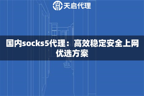 国内socks5代理：高效稳定安全上网优选方案