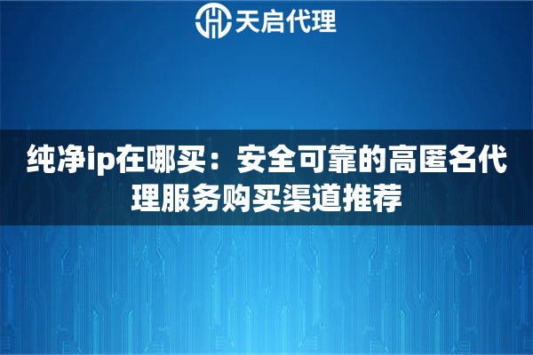 纯净ip在哪买：安全可靠的高匿名代理服务购买渠道推荐
