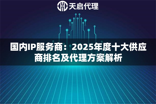 国内IP服务商：2025年度十大供应商排名及代理方案解析