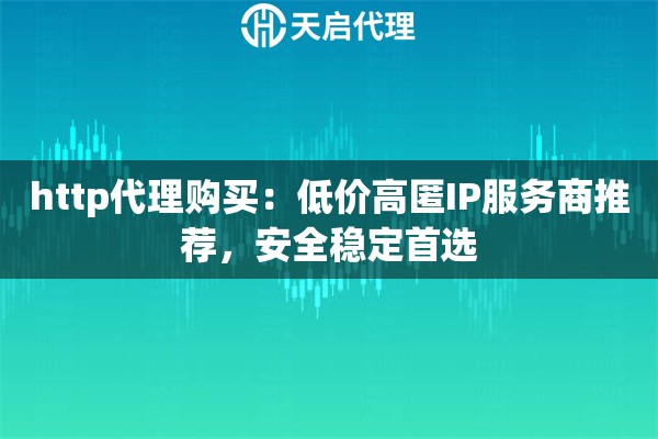 http代理购买：低价高匿IP服务商推荐，安全稳定首选