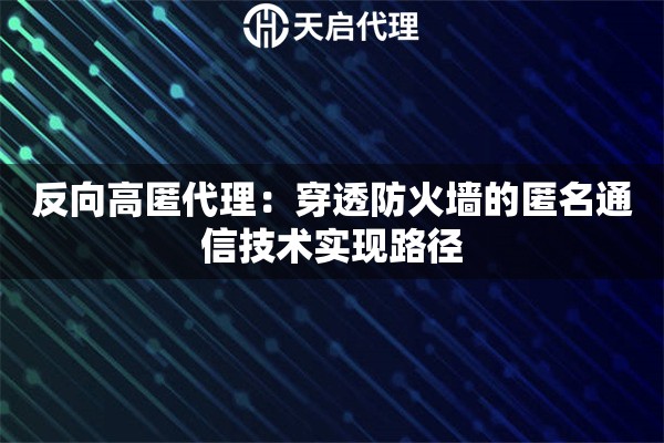 反向高匿代理：穿透防火墙的匿名通信技术实现路径