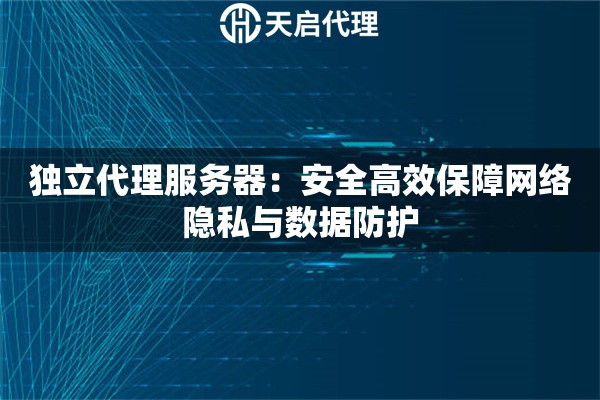 独立代理服务器：安全高效保障网络隐私与数据防护
