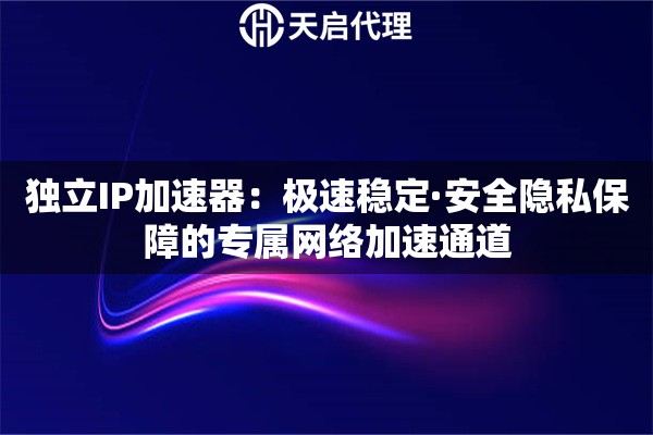 独立IP加速器：极速稳定·安全隐私保障的专属网络加速通道