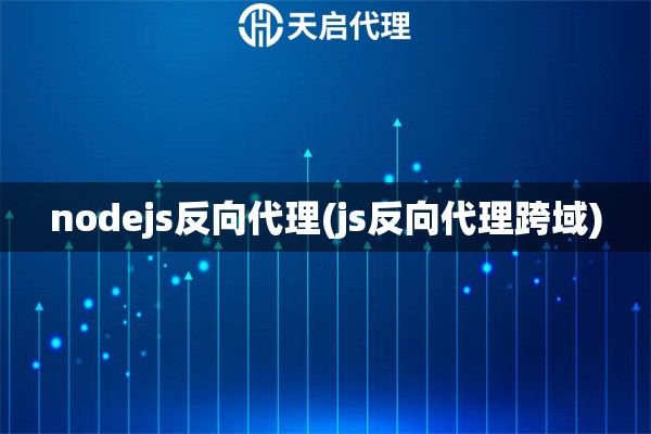 nodejs反向代理(js反向代理跨域)