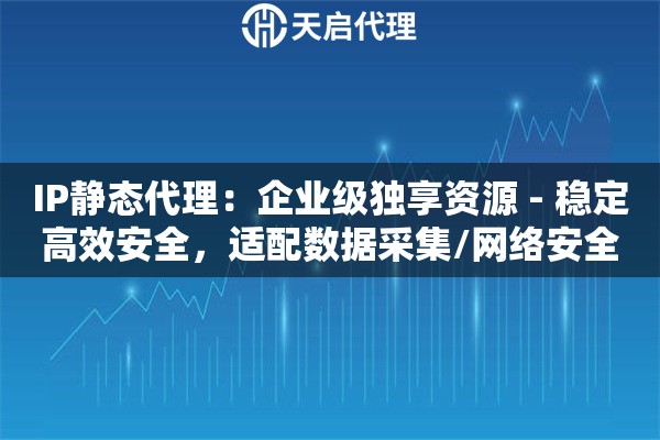 IP静态代理：企业级独享资源 - 稳定高效安全，适配数据采集/网络安全/跨境业务
