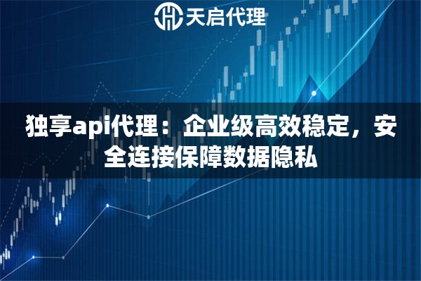 独享api代理：企业级高效稳定，安全连接保障数据隐私