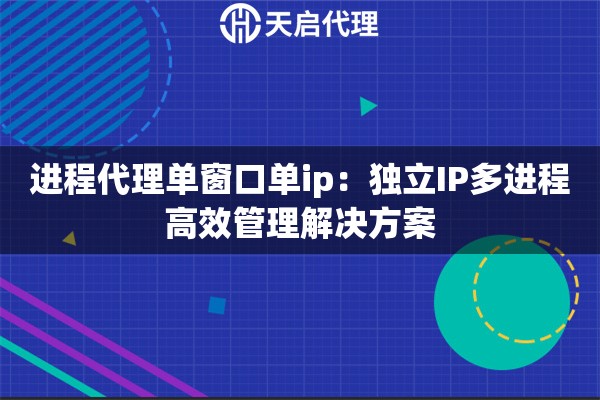 进程代理单窗口单ip：独立IP多进程高效管理解决方案