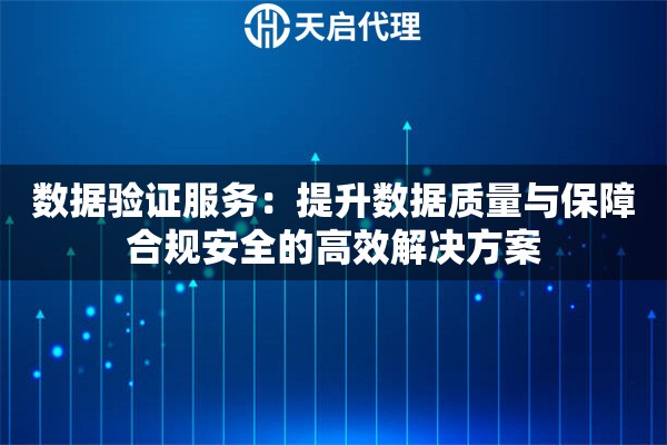 数据验证服务：提升数据质量与保障合规安全的高效解决方案