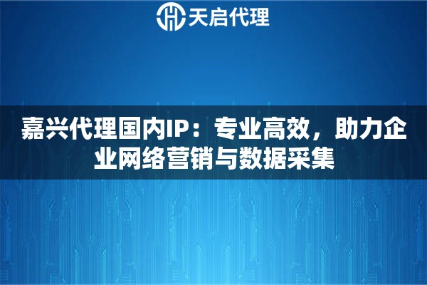 嘉兴代理国内IP：专业高效，助力企业网络营销与数据采集