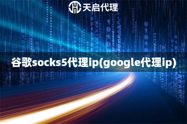谷歌socks5代理ip(google代理ip)