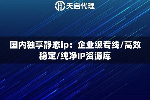 国内独享静态ip：企业级专线/高效稳定/纯净IP资源库