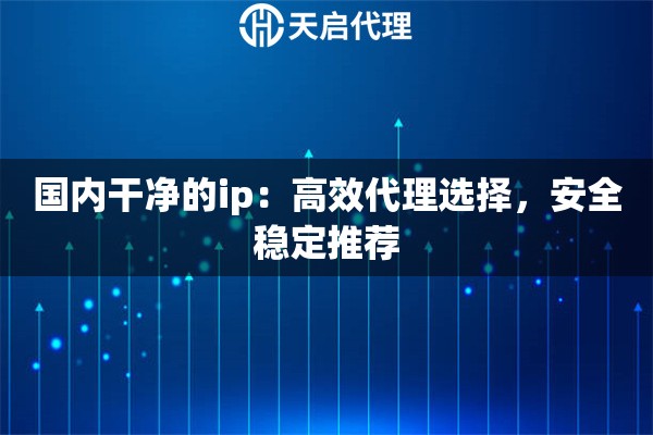 国内干净的ip：高效代理选择，安全稳定推荐