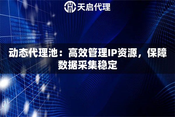 动态代理池：高效管理IP资源，保障数据采集稳定